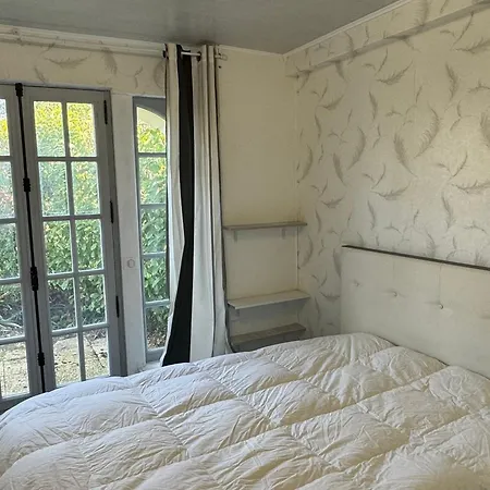 Daire Grand 3p Avec Jardin, Proche Centre, Calme - - Fr-1-487-367 *