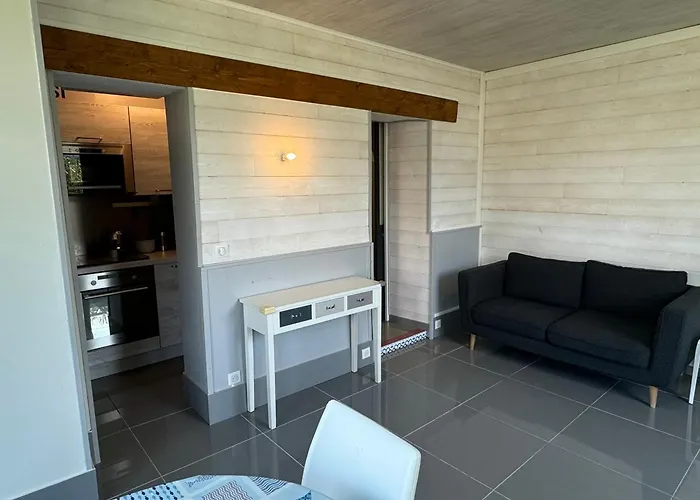 Grand 3p Avec Jardin, Proche Centre, Calme - - Fr-1-487-367